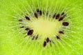 Slice of kiwi fruit on a full frame. Fresh juicy fruit slice closeup Royalty Free Stock Photo