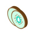 slice kiwi fruit isometric icon vector illustration