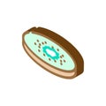 slice kiwi isometric icon vector illustration