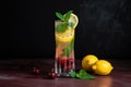 slice of lemon, cherry and mint on the glass of cocktail Royalty Free Stock Photo