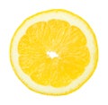 Slice of Lemon Fruit Isolated on White Background Royalty Free Stock Photo