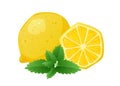 Slice of lemon and mint leaves cartoon illustration template. Stylized flat vector elements in yellow, white and green