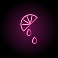 Slice of lemon neon icon. Simple thin line, outline vector of tea icons for ui and ux, website or mobile application Royalty Free Stock Photo
