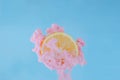 Slice lemon with partial focus of dissolving pink poster color in water