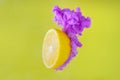 Slice lemon with partial focus of dissolving violet poster color in water