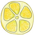 A slice of lemon, sketch, for menu design, posters, cards