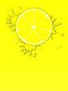 Slice of lemon and splash of juice