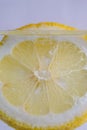 Slice of lemon in submerged in water with bubbles on white background