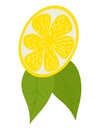 Slice of lemon with two green leaves isolated on white background. Citrus fruit and leaves vector illustration Royalty Free Stock Photo