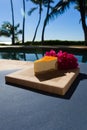 Slice of lilikoi cheesecake on a beautiful Hawaiian day