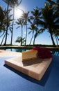 Slice of lilikoi cheesecake on a beautiful Hawaiian day