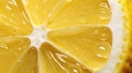 slice macro lemon yellow