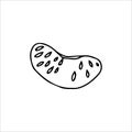 Slice of mandarin in doodle style. Slice of tropical mandarin without skin. Segment of tangerine. Vector illustration.