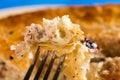 Slice of meat burek pie on the fork closeup macro