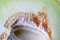 slice melon seeds ,  close up Royalty Free Stock Photo