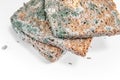 Slice of moldy bread, rotten and uneatable. Studio shot Royalty Free Stock Photo