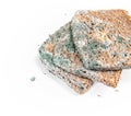 Slice of moldy bread, rotten and uneatable. Studio shot Royalty Free Stock Photo