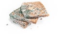 Slice of moldy bread, rotten and uneatable. Studio shot Royalty Free Stock Photo