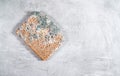 Slice of moldy bread, rotten and uneatable. Studio shot Royalty Free Stock Photo