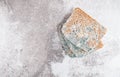 Slice of moldy bread, rotten and uneatable. Studio shot Royalty Free Stock Photo