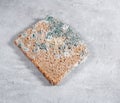 Slice of moldy bread, rotten and uneatable. Studio shot Royalty Free Stock Photo