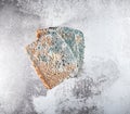 Slice of moldy bread, rotten and uneatable. Studio shot Royalty Free Stock Photo