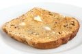 Slice of multi-seed wholegrain bread toasted Royalty Free Stock Photo