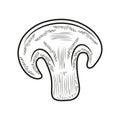 slice mushroom icon