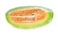 Slice of Muskmelons isolated on white background Royalty Free Stock Photo