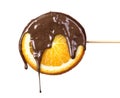 Slice of orange with chocolate isolated