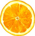Slice of orange drawing by watercolor Royalty Free Stock Photo