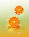 Slice orange drop on juice splash and ripple, Realistic Fruit and yogurt, transparent, vector illustration Royalty Free Stock Photo