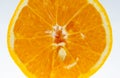 Slice of orange fruit. Royalty Free Stock Photo
