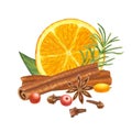 Slice of orange fruit with leaves, cinnamon, berries, clove and star anise, rosemary or spruce, pine