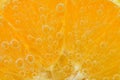 Slice of orange fruit in sparkling water. Orange fruit slice covered by bubbles in carbonated water. Orange fruit slice Royalty Free Stock Photo