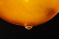 Slice of orange persimmon with juice drops on a black background, macro photography. Texture fresh fruit, closeup