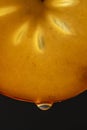 Slice of orange persimmon with juice drops on a black background, macro photography. Texture fresh fruit, closeup Royalty Free Stock Photo