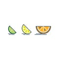 Slice orange or tangerine lemon and lime fruit isolated on white background. Bright summer harvest illustration. Flat style Royalty Free Stock Photo