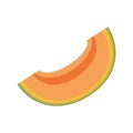 slice papaya sweet fruit icon Royalty Free Stock Photo