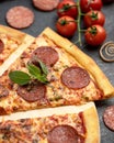 Slice of pepperoni pizza with salami sausage and basil. Close up shot. Fast food Restaurant or pizzeria. Classic italian