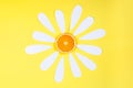 Flower with oranges in center isolated on yellow background Royalty Free Stock Photo