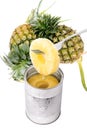 Slice of pineapple on a fork isolated Royalty Free Stock Photo