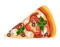 Slice of pizza with cheese tomato salami olive champignon onion