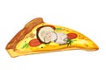 Slice of pizza with mushrooms. White mushroom sleeping on a piece of pizza