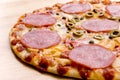 Slice of pizza salami with cheese,vegetables