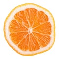 Slice of Rangpur (lemandarin) - citrus fruit, hybrid mandarin orange and lemon