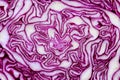 Slice of Red Cabbage. close up, macro photo Royalty Free Stock Photo