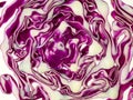 Slice of red cabbage Royalty Free Stock Photo