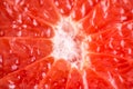 Slice of red Grapefruit. Close-up macro. So fresh Royalty Free Stock Photo
