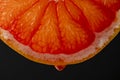 Slice of red grapefruit with juice drops on a black background, macro photography. Texture fresh citrus fruit, closeup Royalty Free Stock Photo